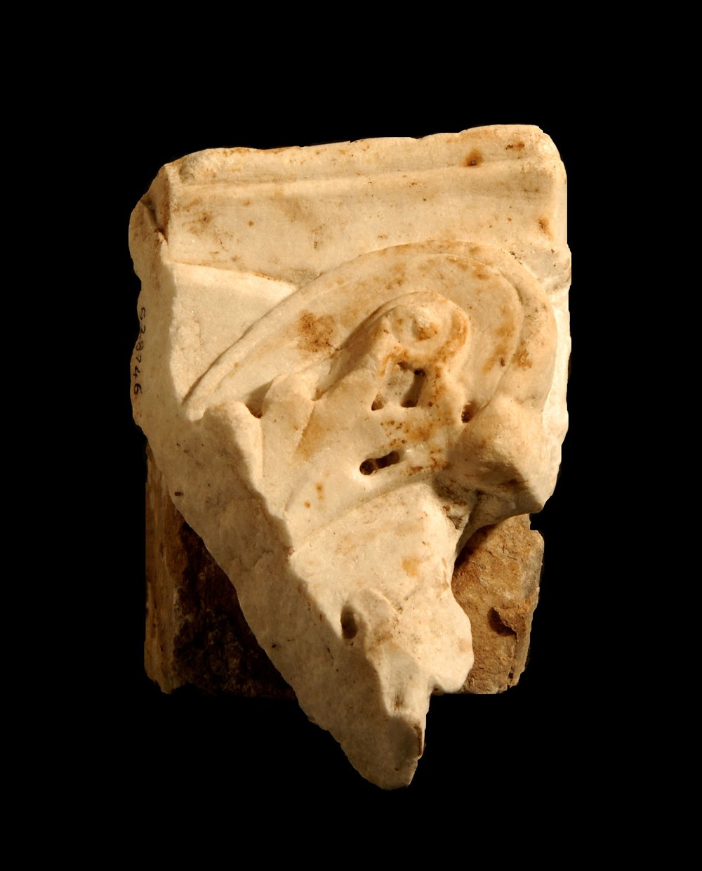 Inv.528746-Neg.000063.JPG