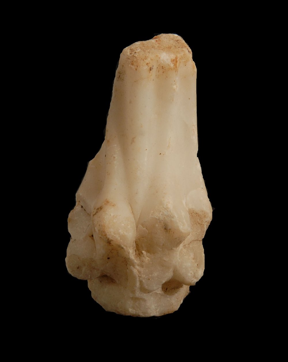 Inv.528738-Neg.000071.JPG