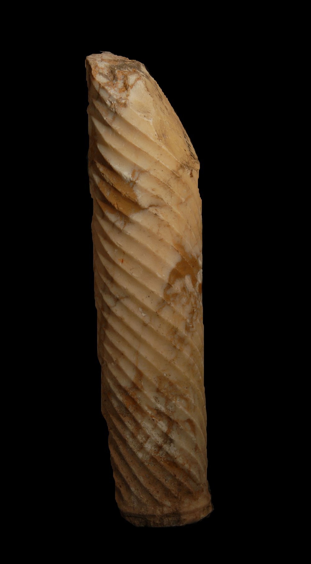 Inv.528681-Neg.000106.JPG
