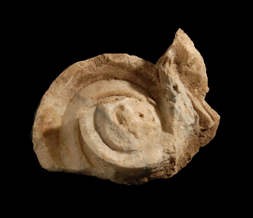 Inv.528742-Neg.000067.JPG