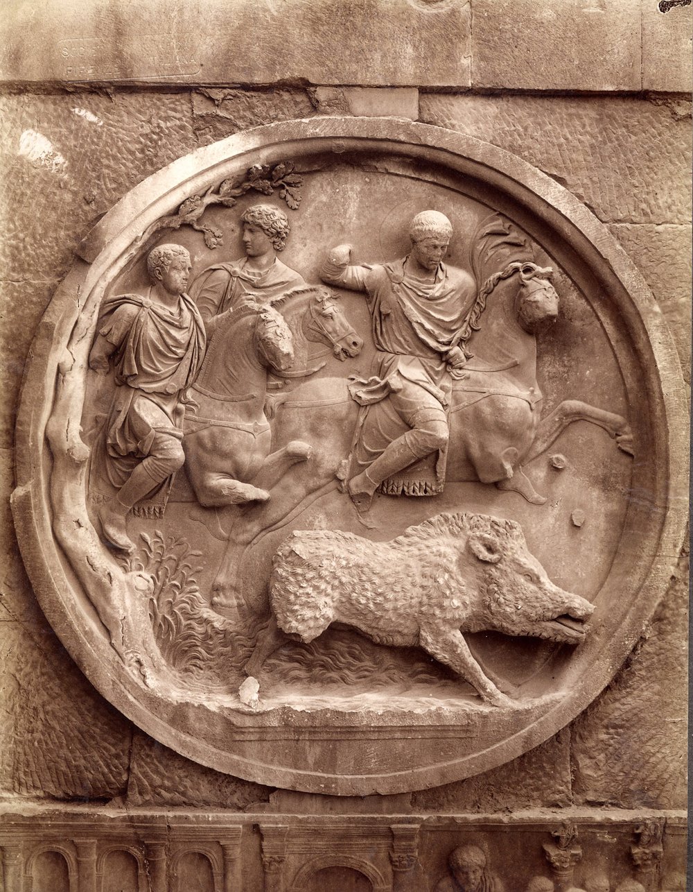 caccia al cinghiale.jpg