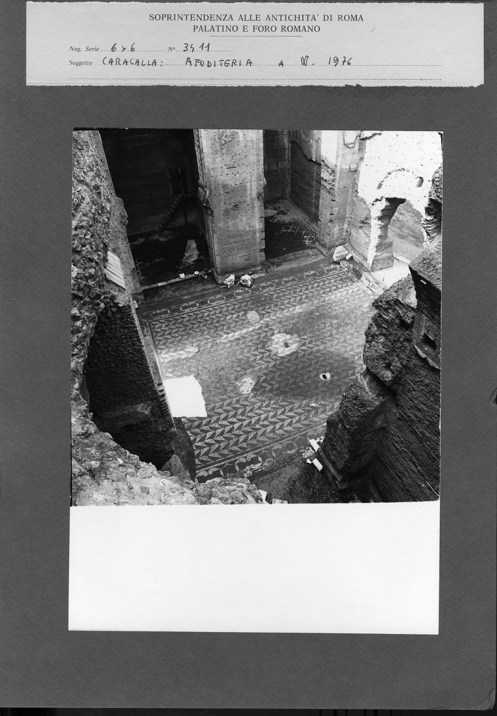 DT813 - Copia.jpg