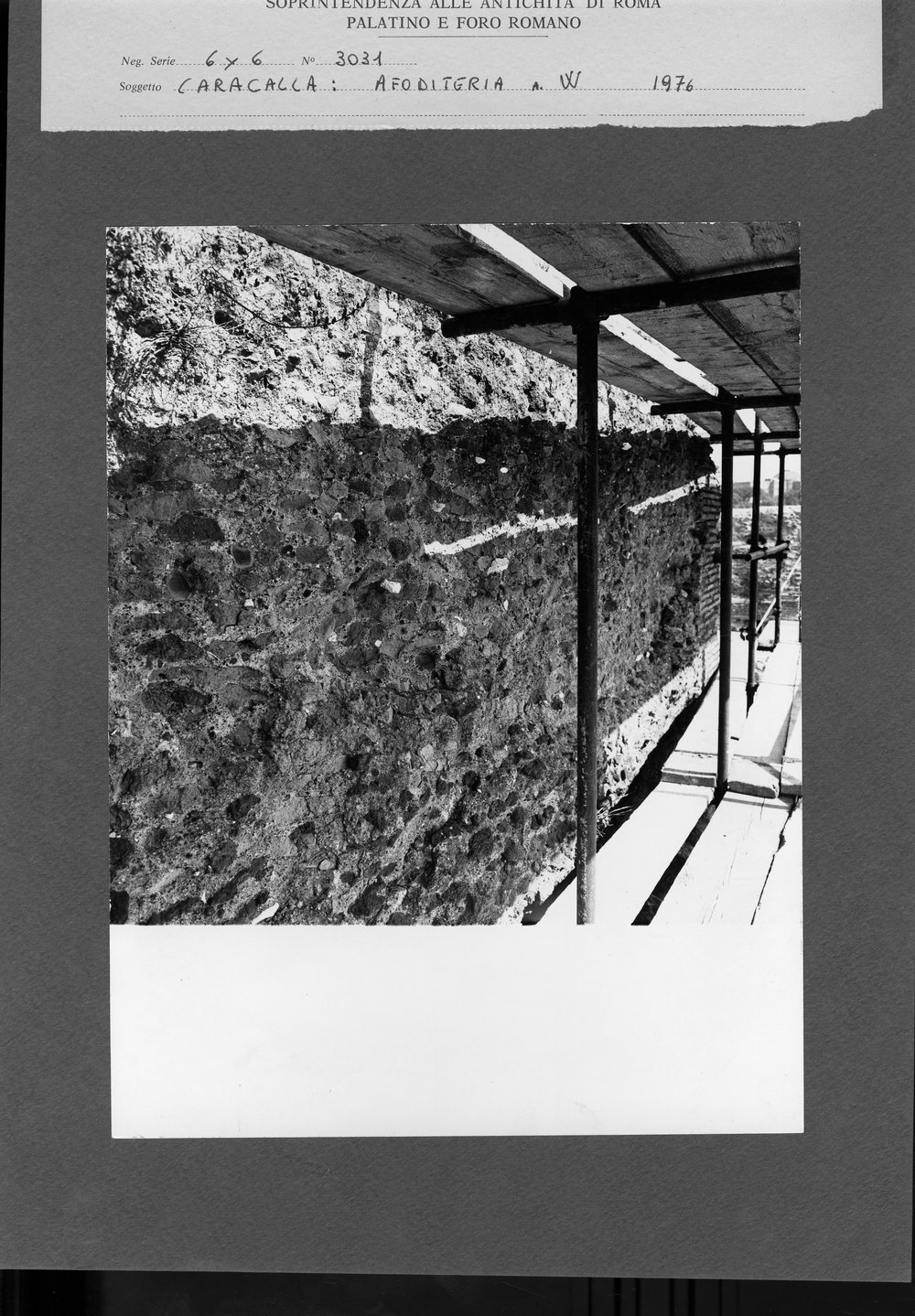DT806 - Copia.jpg
