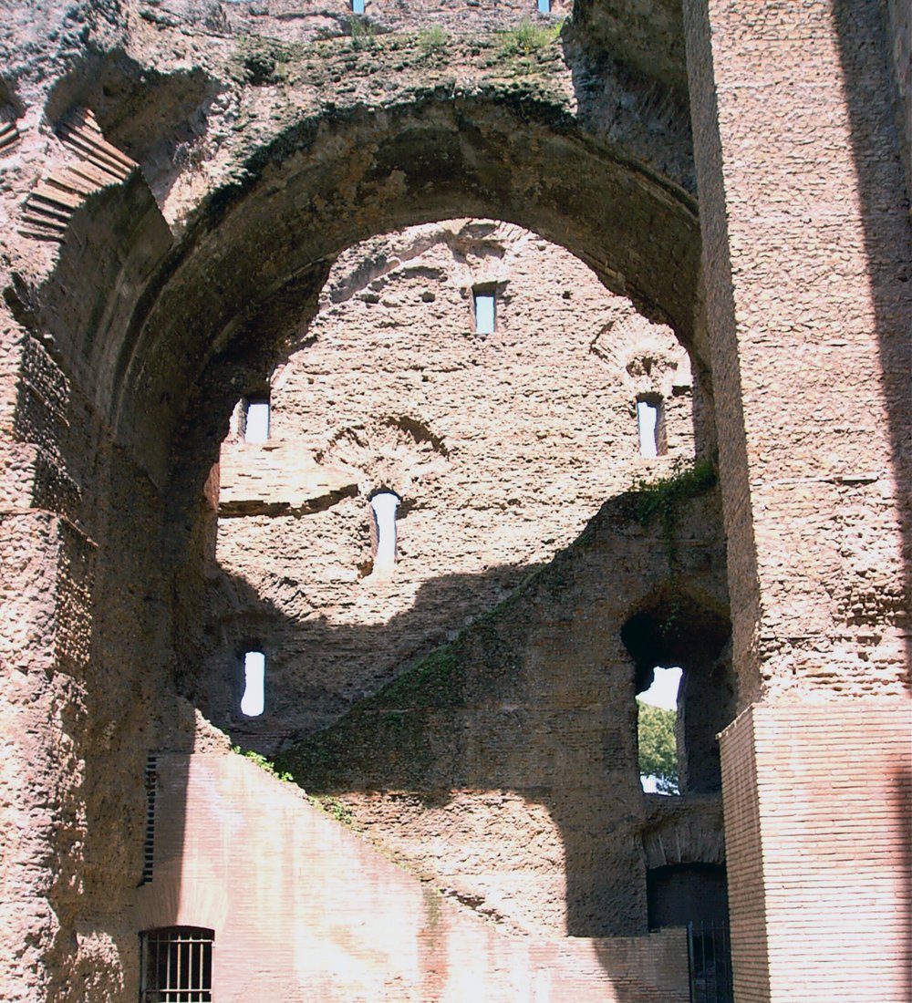 Apod. scala.tif