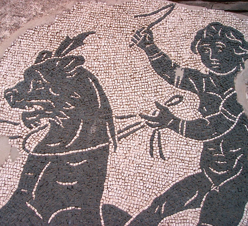 Mosaico particolare.tif
