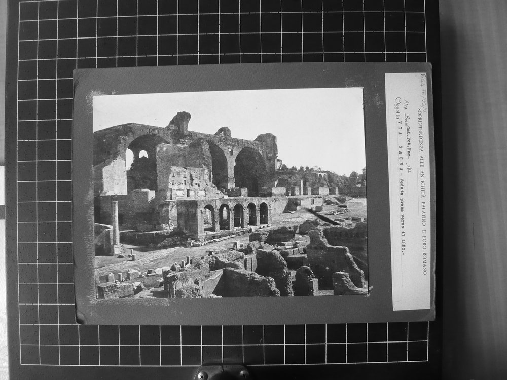P1020390.JPG