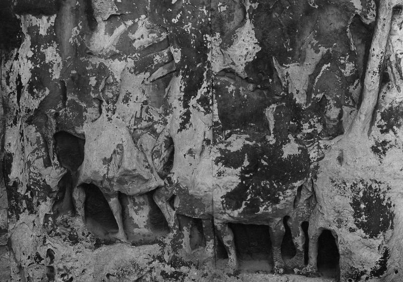 020174 - monumento - Arco di Settimio Severo, fronte orientale, pannello storico sinistro; foto Accademia Americana, n. S-E 13