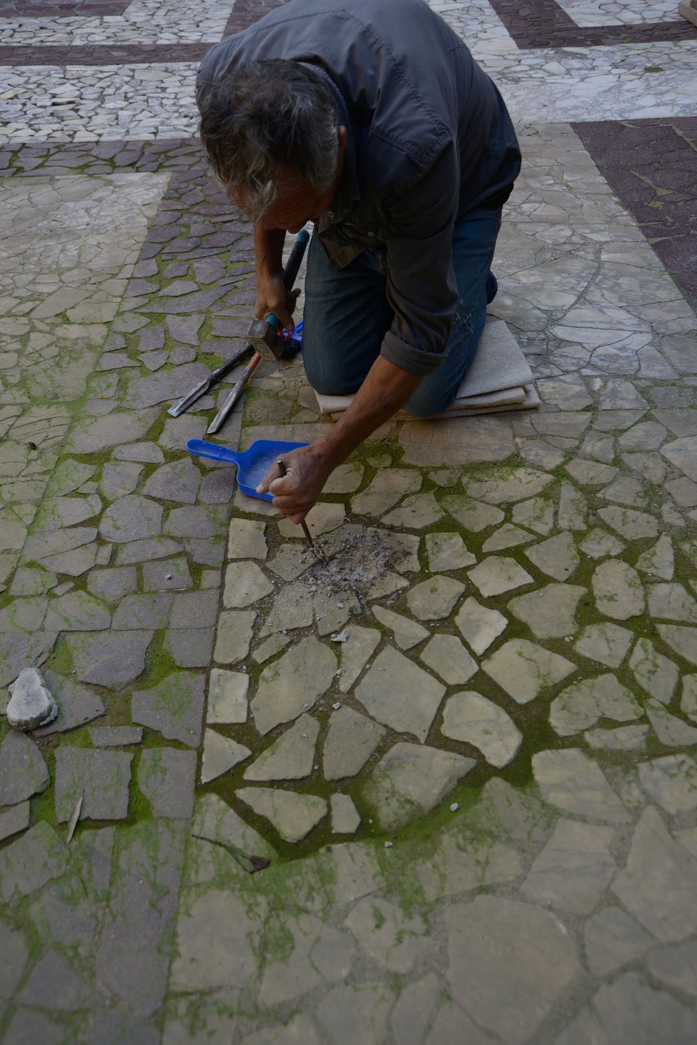 DSC_1913.JPG