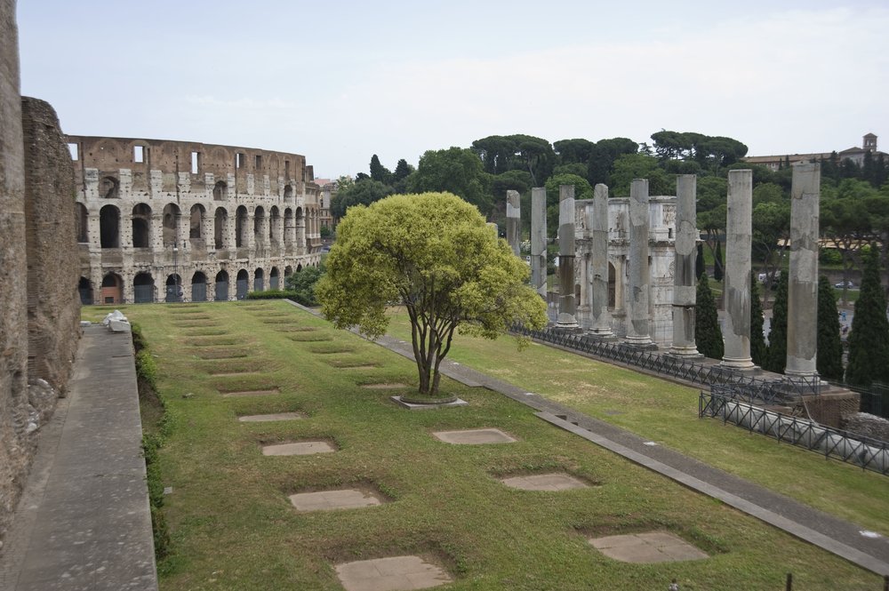Venere e Roma.jpg