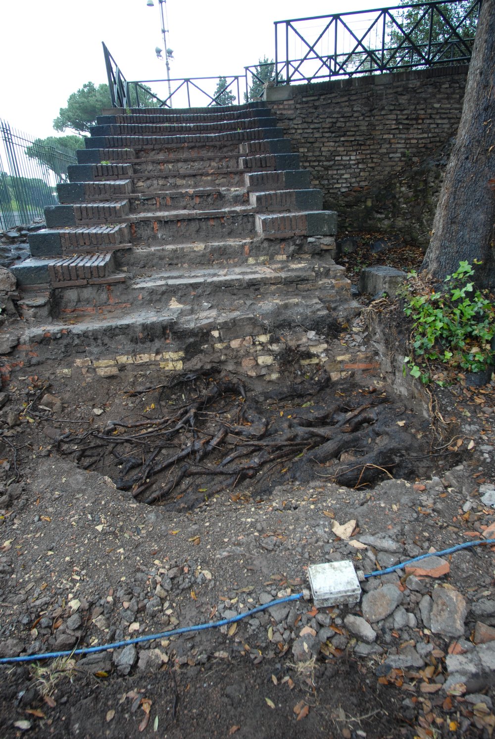 DSC_0305.JPG