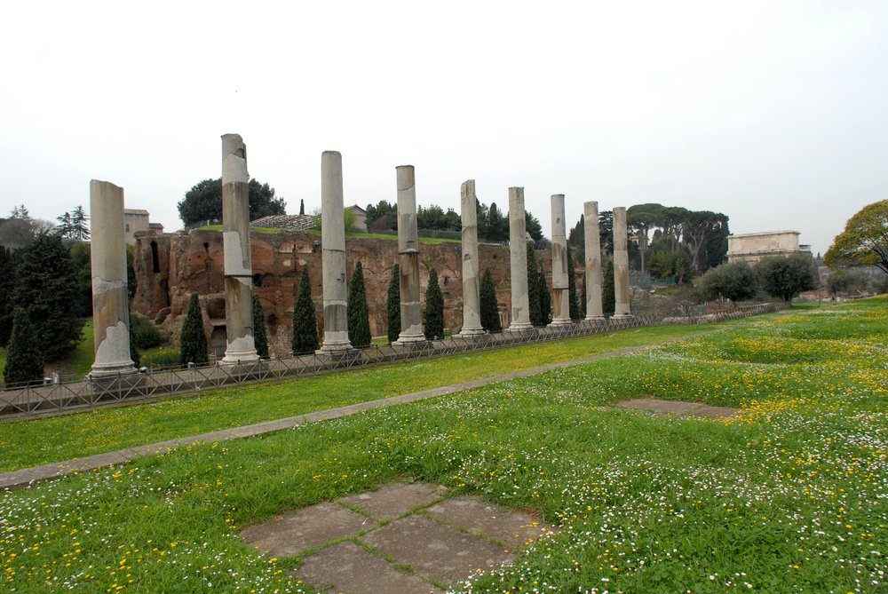 DSC_0324.JPG