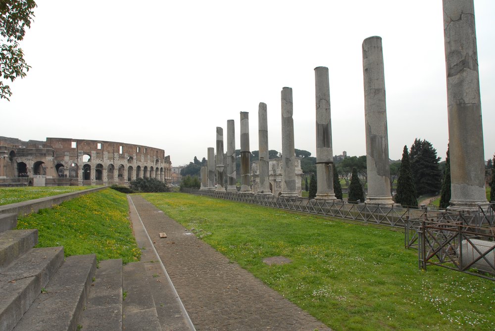 DSC_0326.JPG