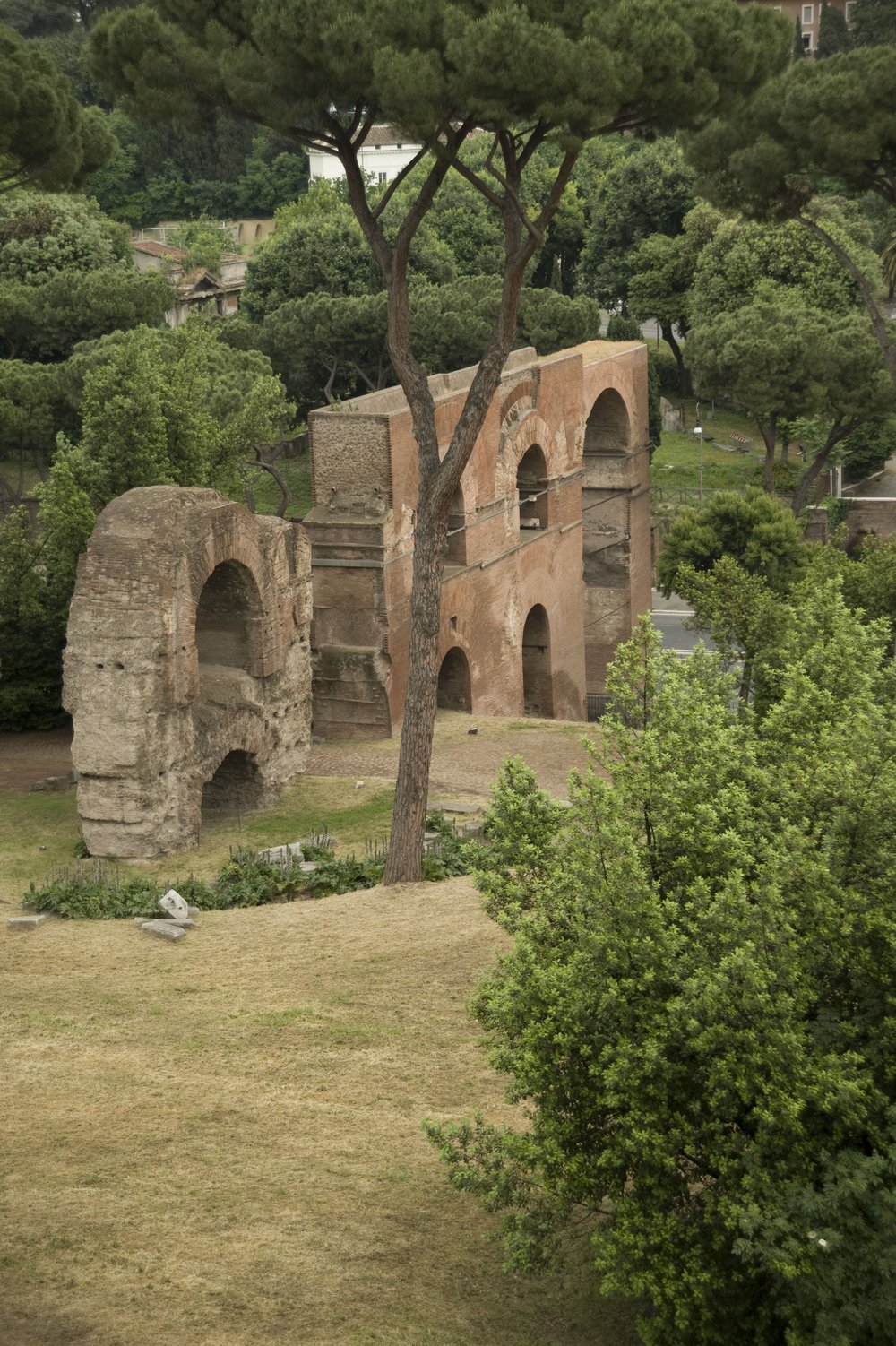 DSC_5860.JPG