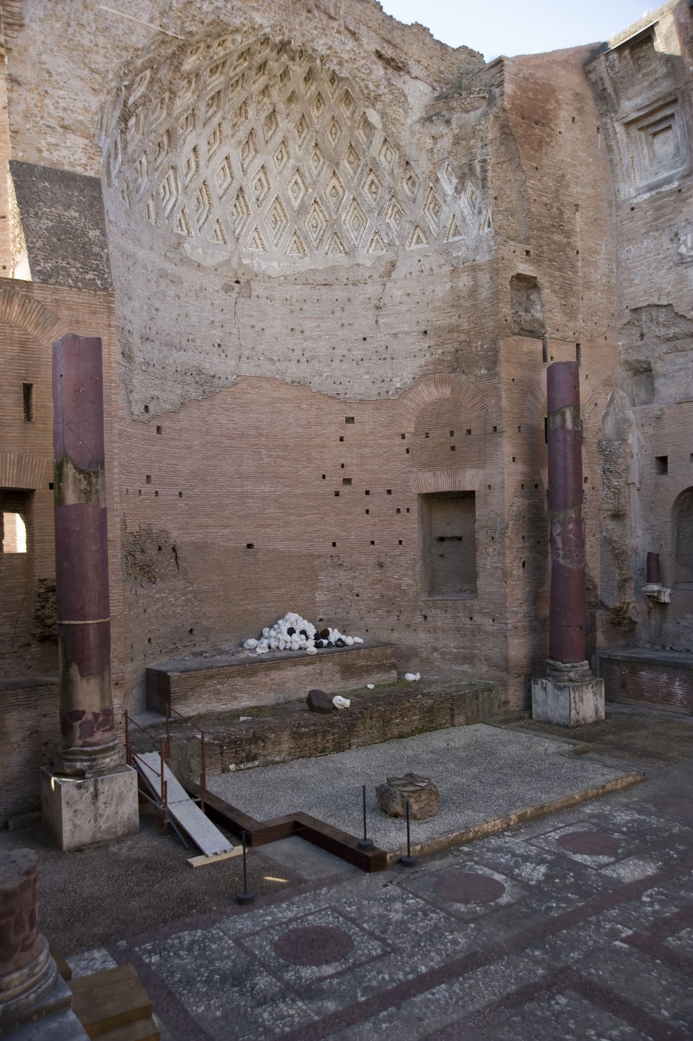DSC_5808.JPG