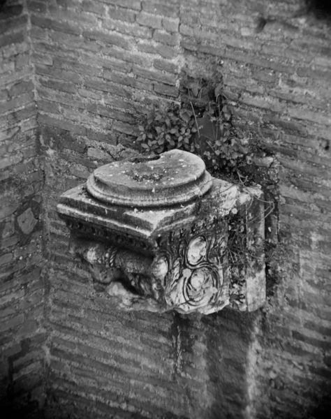 013351 - monumento - Curia, mensola di confronto della Terme di Diocleziano, frigidarium; Gab. Fot. Naz. Neg. Serie E, Nr. 42006