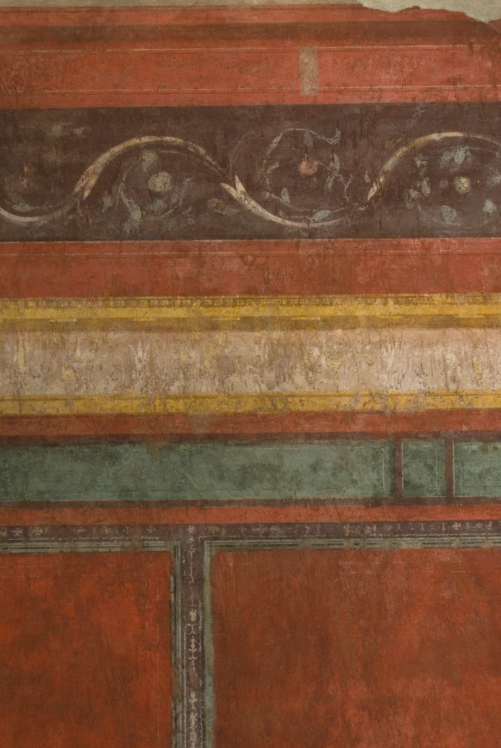 Oecus.TIF (4).TIF