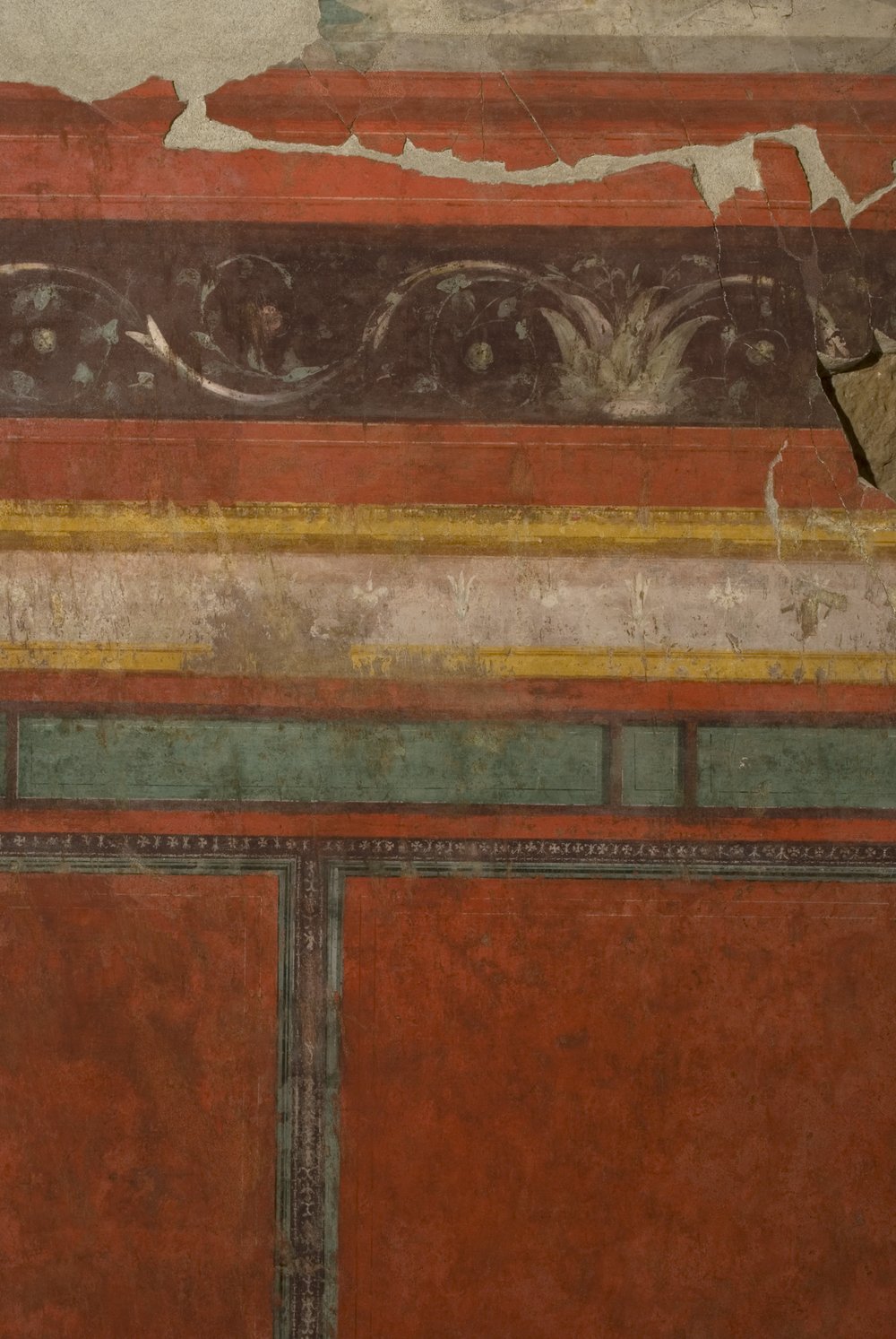 Oecus.TIF (6).TIF