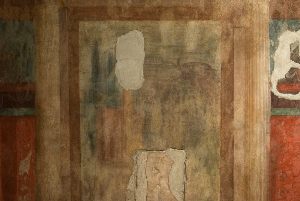 Oecus.TIF (20).TIF
