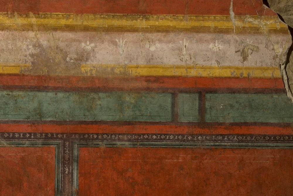Oecus.TIF (11).TIF