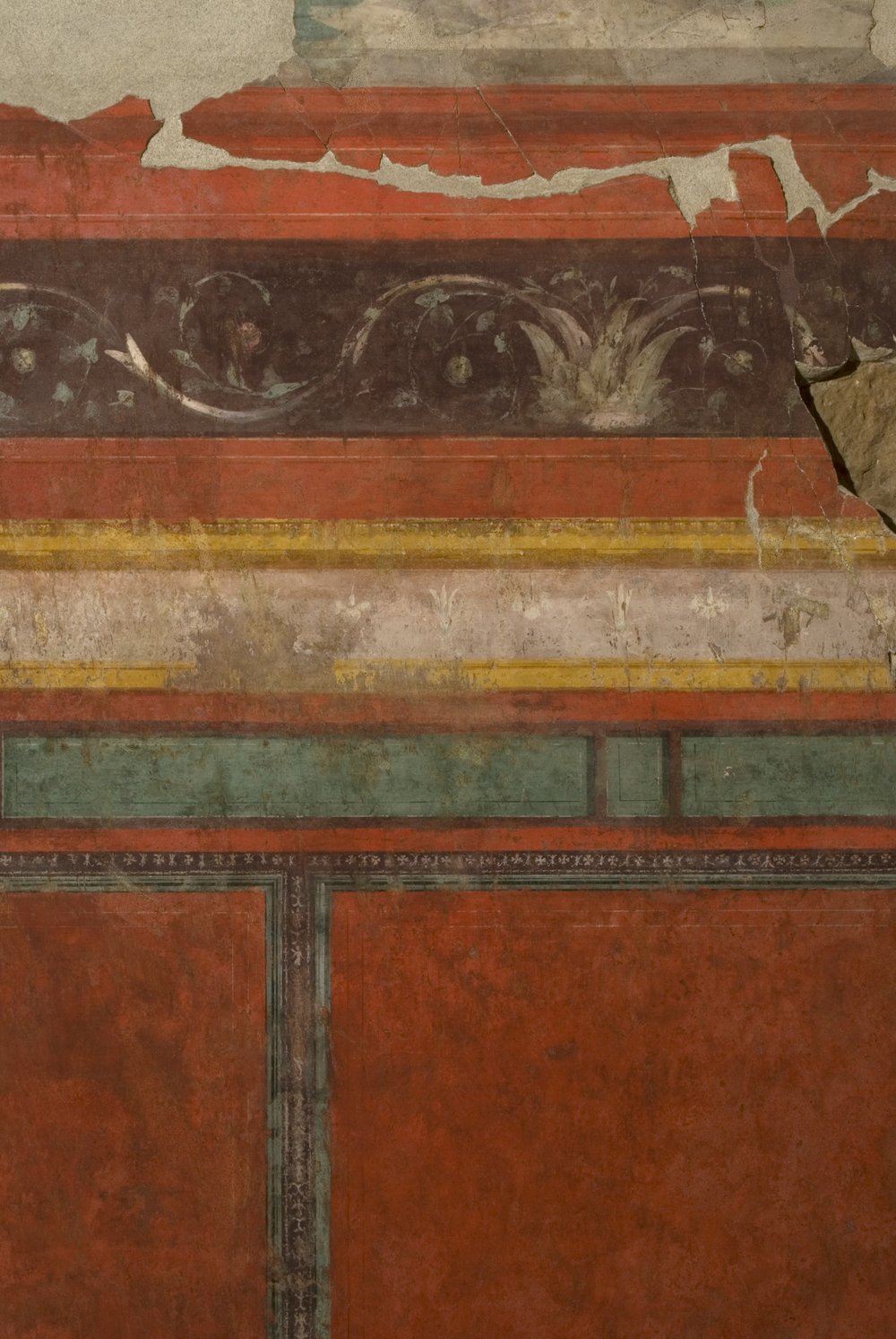 Oecus.TIF (7).TIF