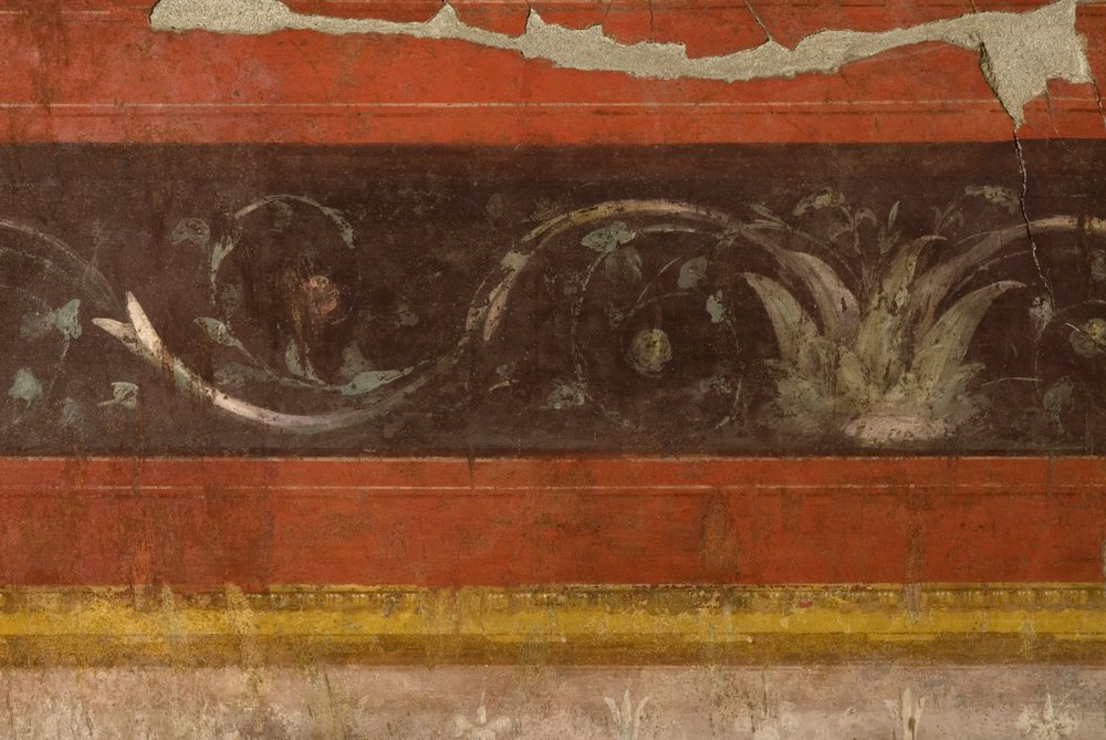 Oecus.TIF (14).TIF