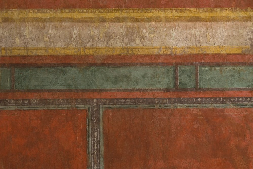 Oecus.TIF (3).TIF