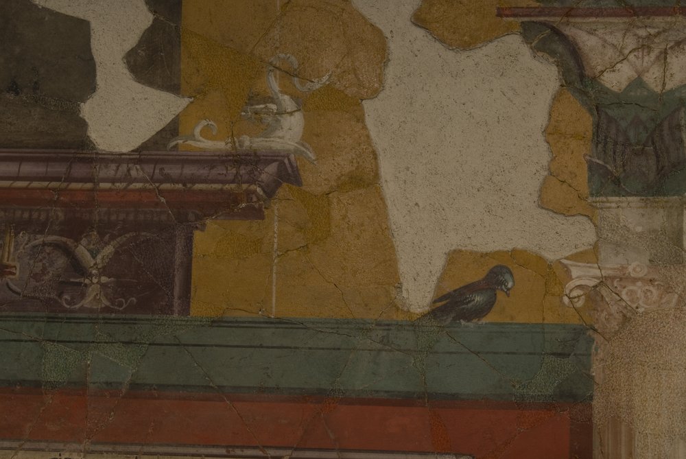 Studiolo d'Augusto.TIF (46).TIF