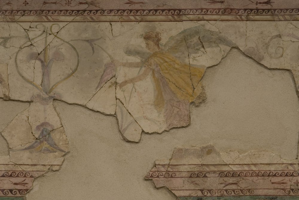 Studiolo d'Augusto.TIF (32).TIF