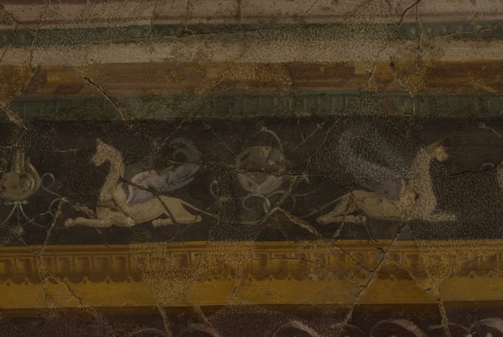Studiolo d'Augusto.TIF (39).TIF
