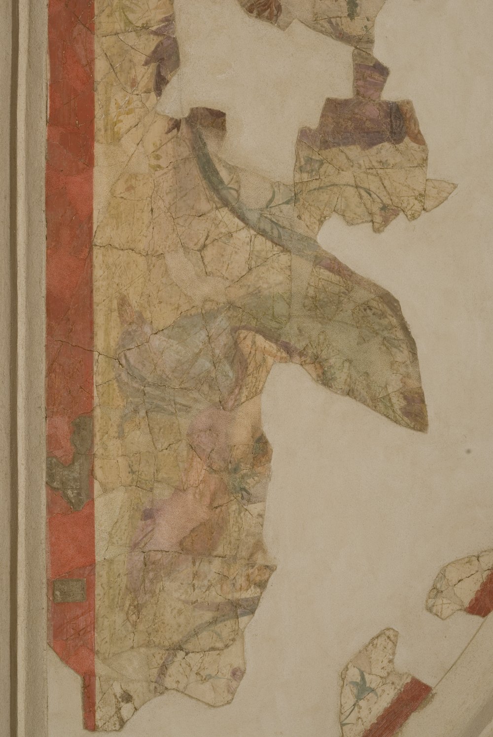 Studiolo d'Augusto.TIF (14).TIF