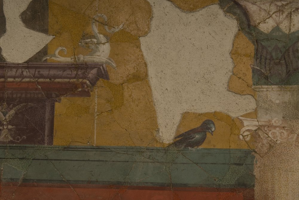 Studiolo d'Augusto.TIF (45).TIF