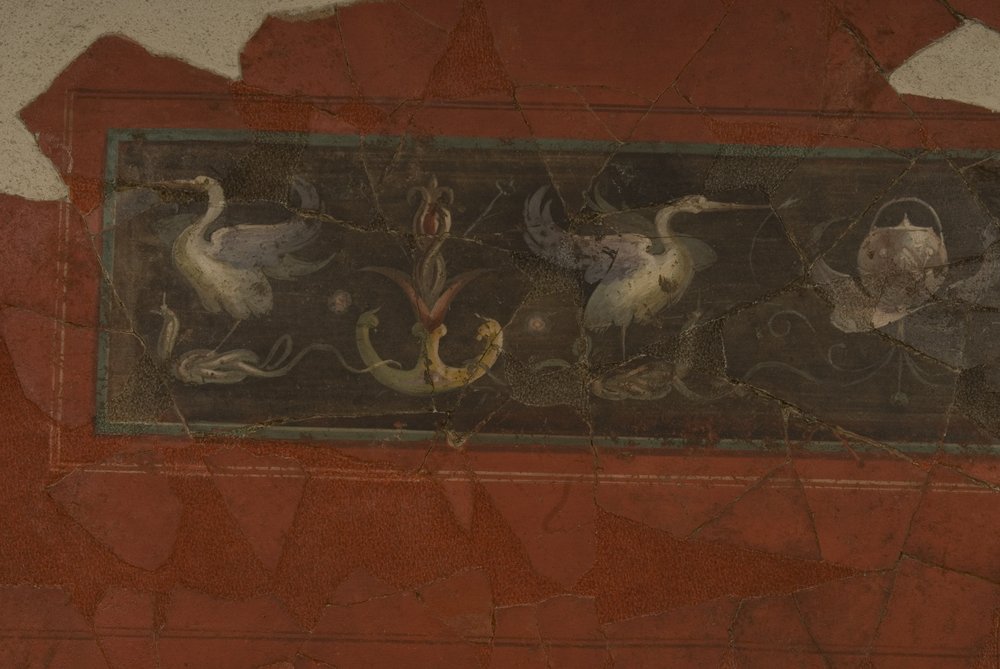 Studiolo d'Augusto.TIF (47).TIF