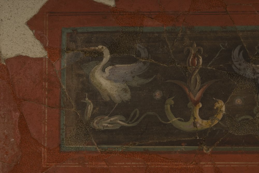 Studiolo d'Augusto.TIF (49).TIF