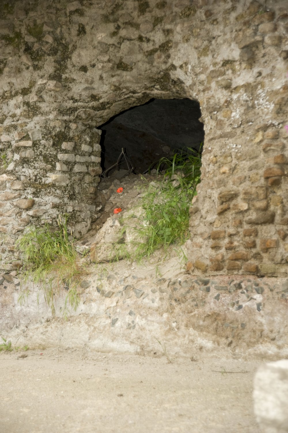 DSC_5752.JPG