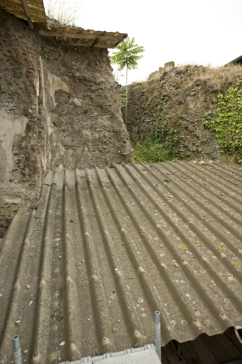 DSC_5755.JPG