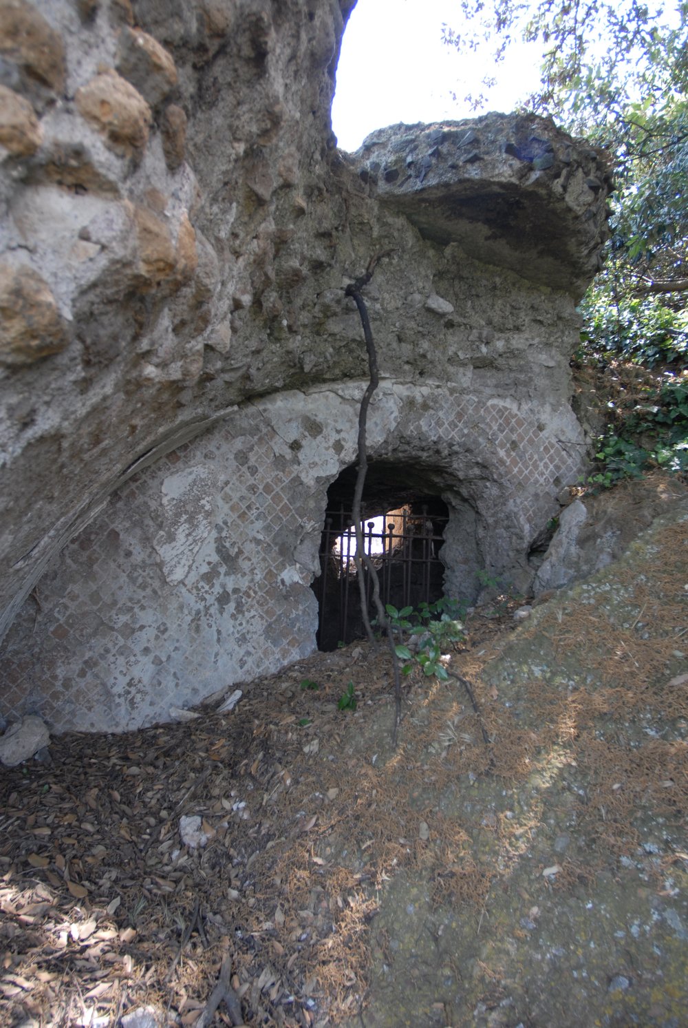 DSC_0039.JPG