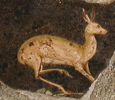 DSCN1795.JPG
