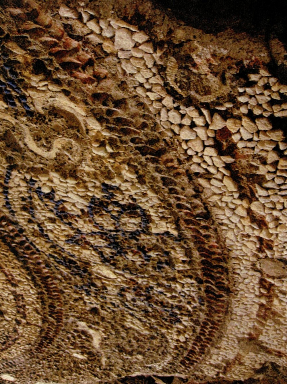 foro n.11 010.jpg
