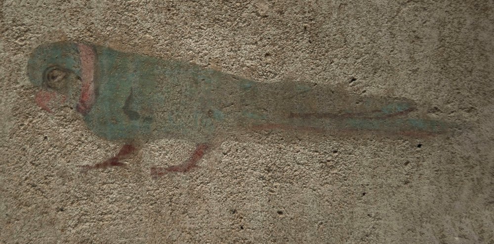 DSC_2832.JPG