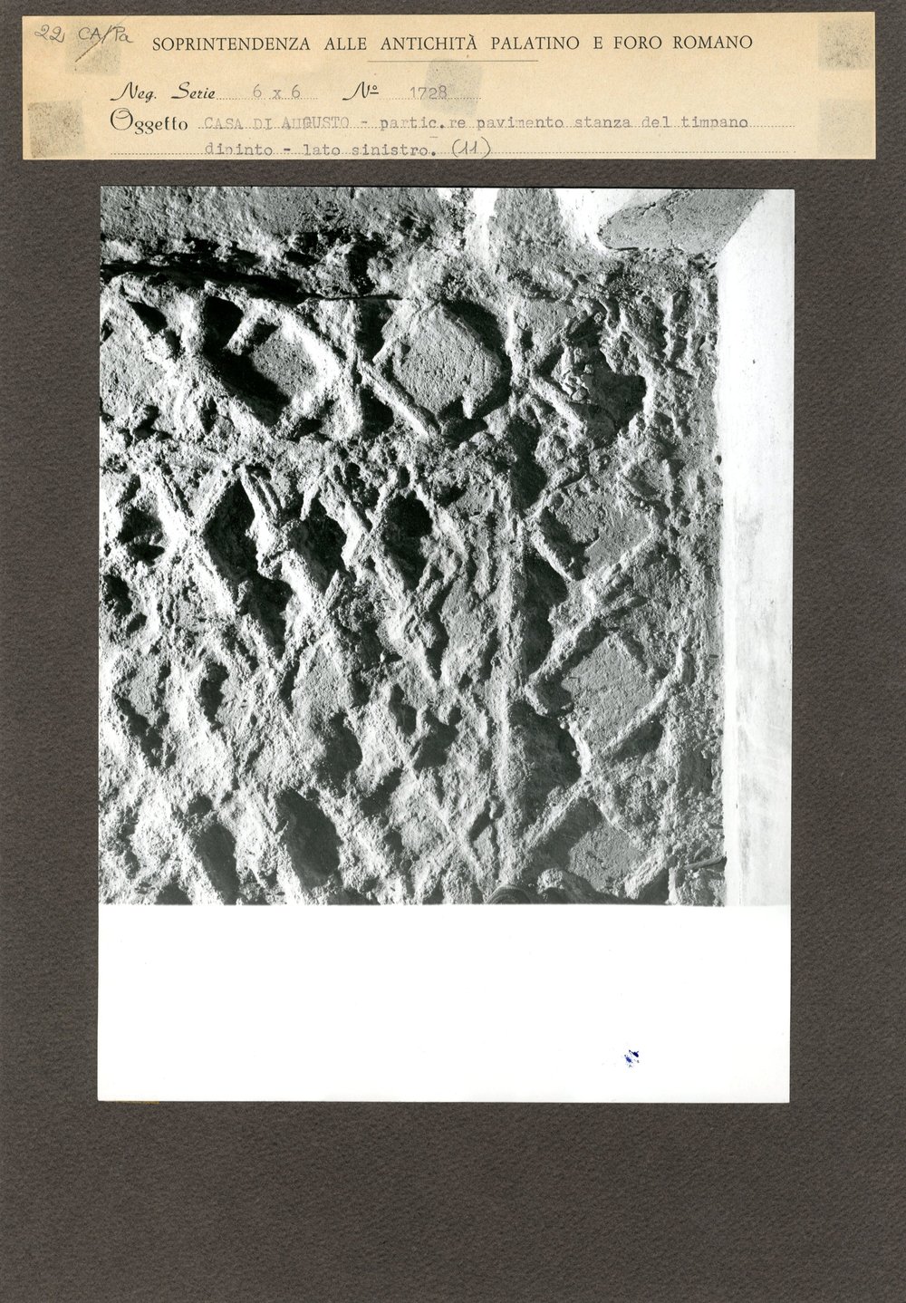 C.A. - PAV - 022.jpg