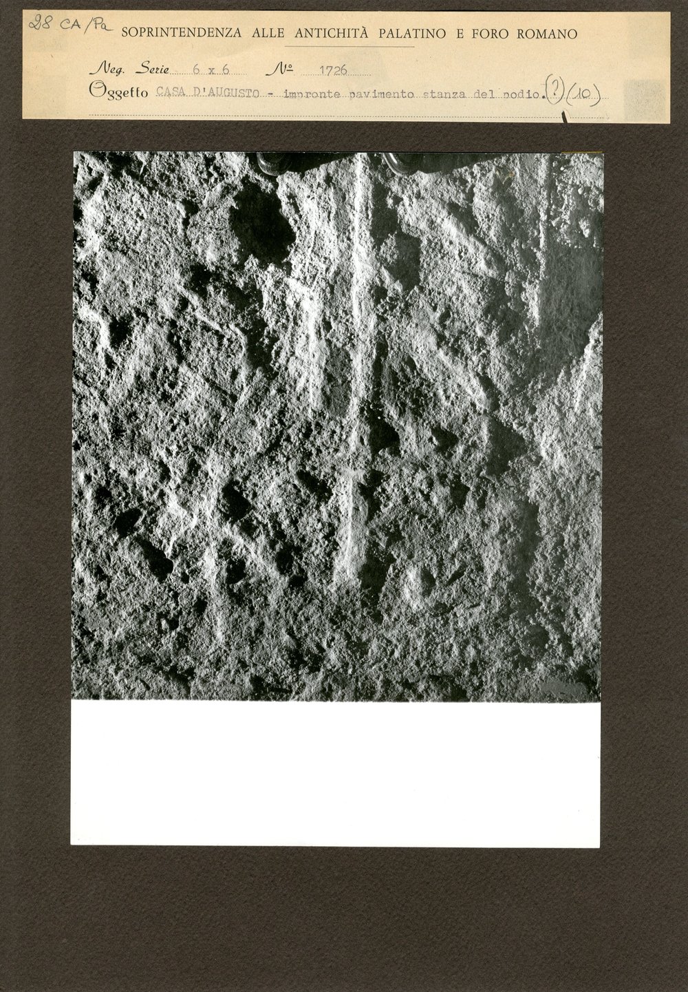 C.A. - PAV - 028.jpg