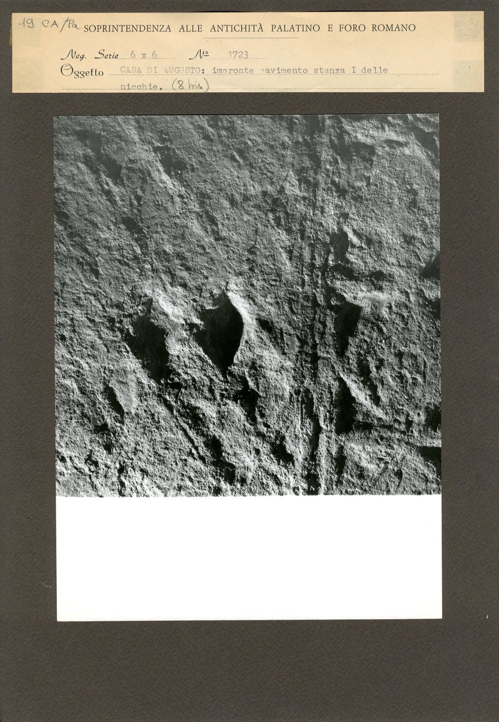 C.A. - PAV - 019.jpg