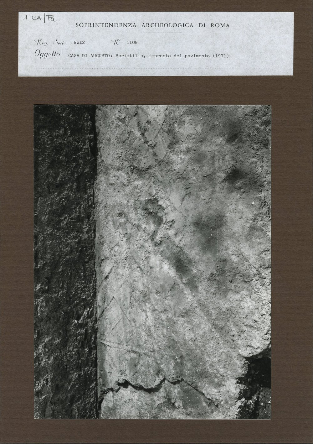 C.A. - PAV - 001.jpg
