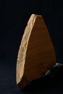 DSC_2132.NEF