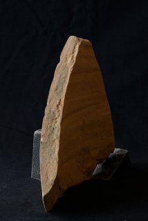 DSC_2135.NEF