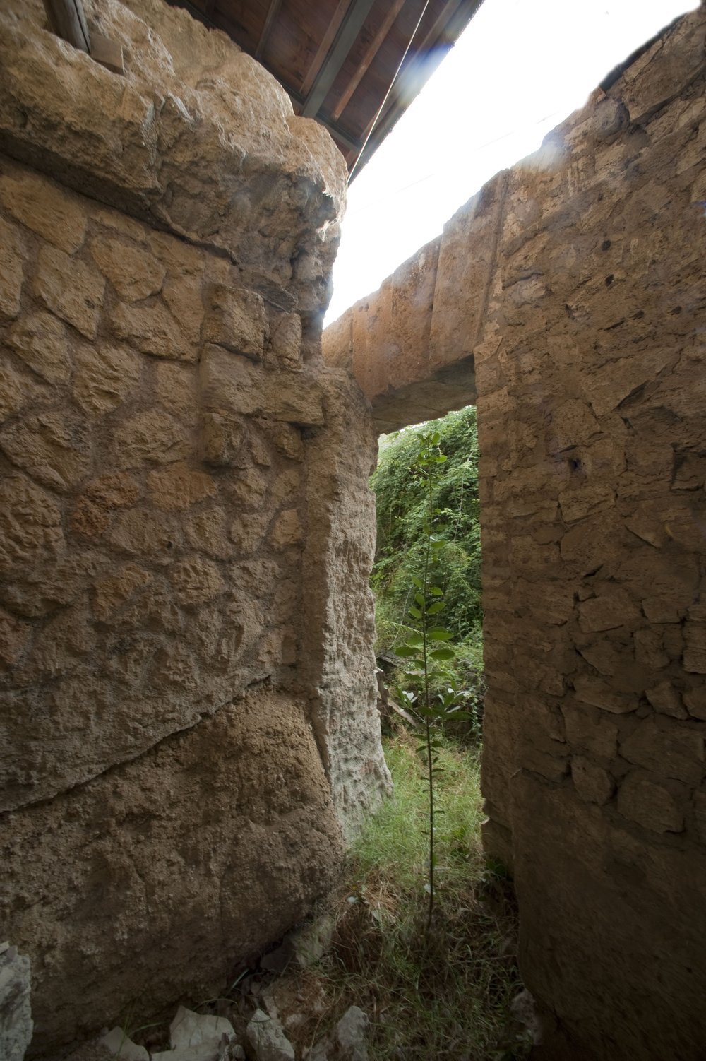 DSC_2967.JPG