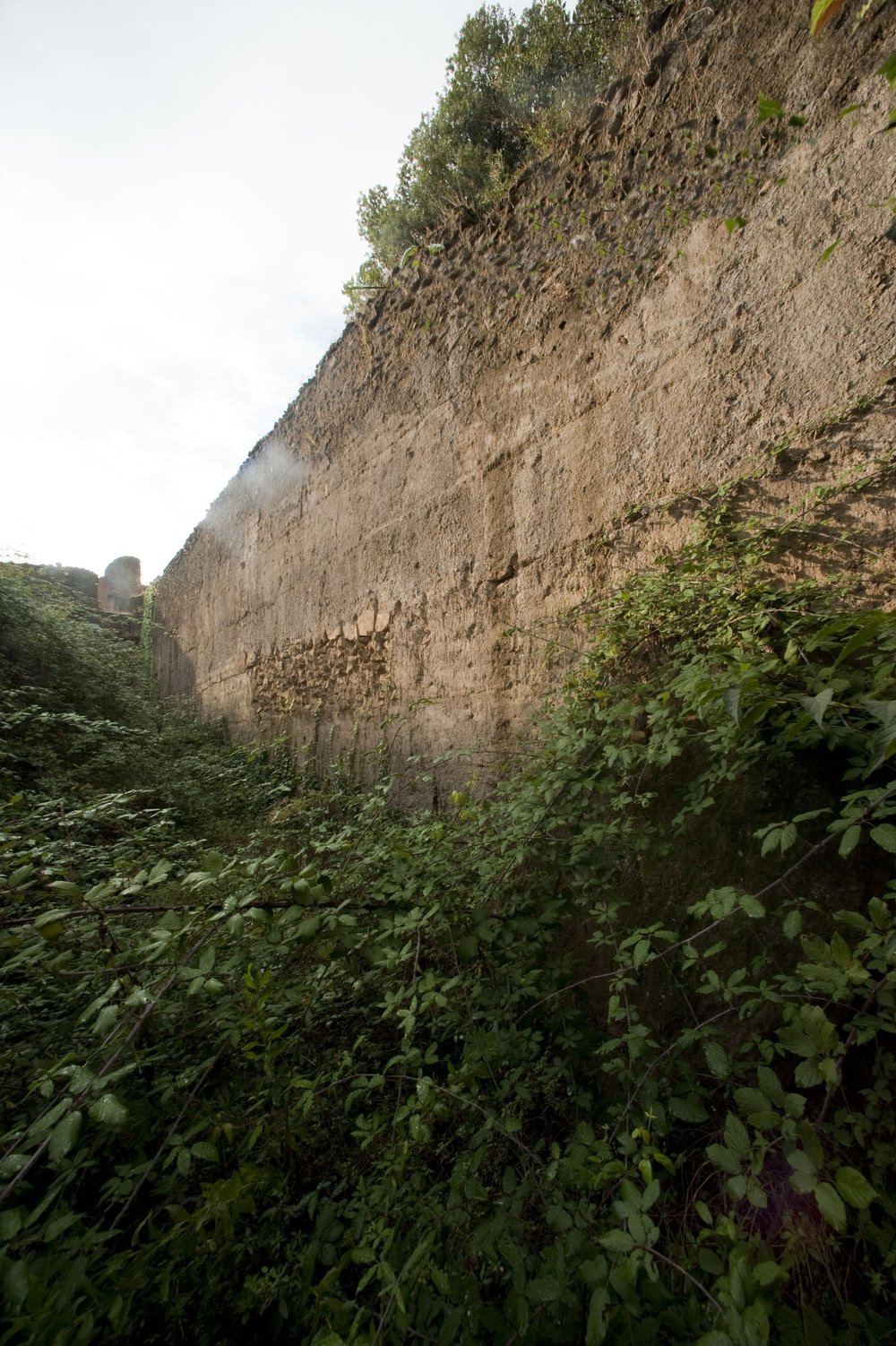 DSC_2965.JPG