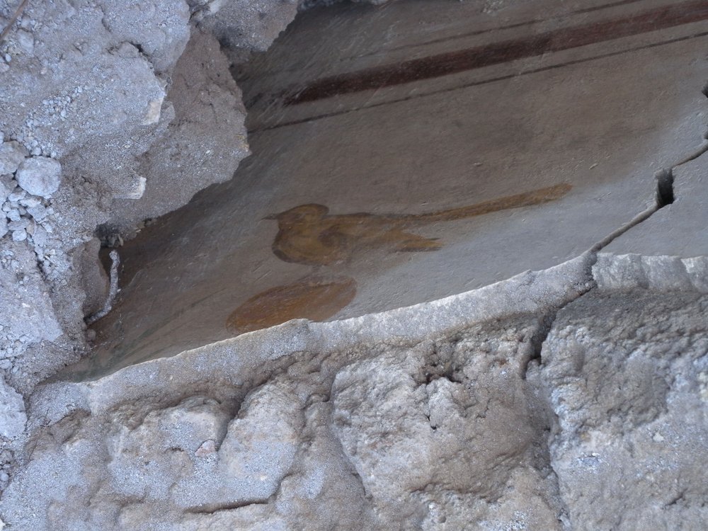 Bastione Farnesiano1.JPG