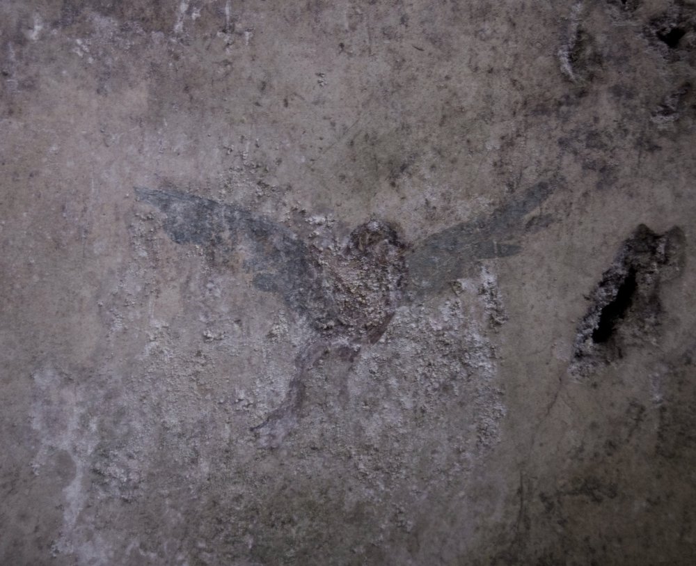 affresco2.jpg
