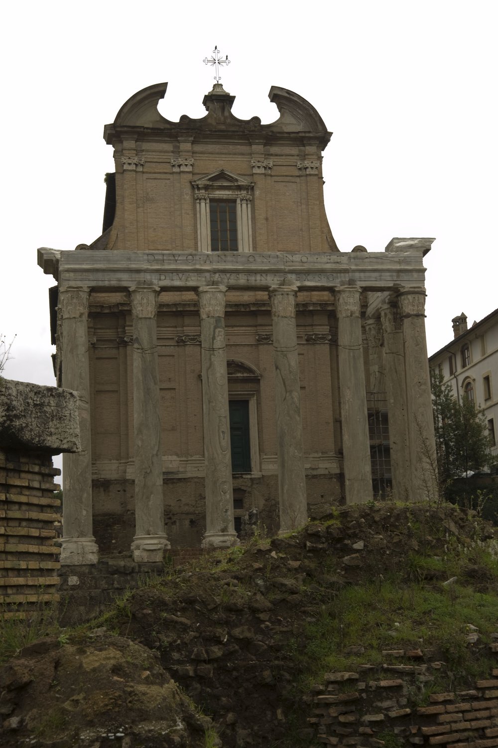 DSC_5317.jpg